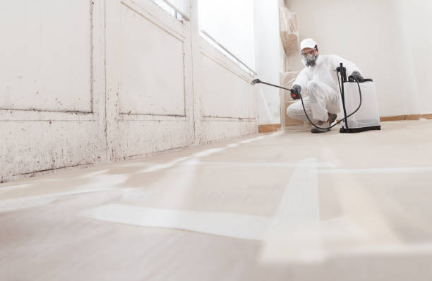 24/7 Emergency Commercial Mold Remediation experts in Portland, OR